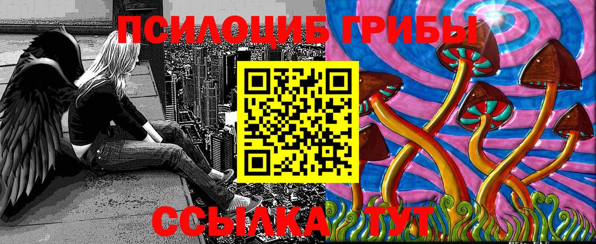 Домодедово  Псилоцибиновые грибы Magic Shrooms  где купить наркоту  Вход с VPN 